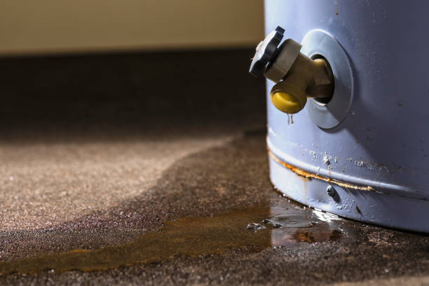 Best Sewage cleanup and water damage restoration  in Guadalupe, CA