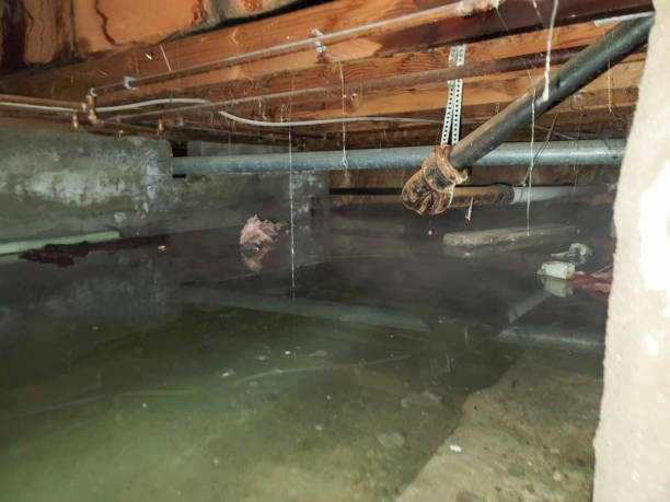 Best Fire Damage Restoration  in Guadalupe, CA