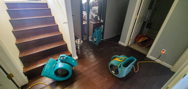 Best Ceiling water damage repair  in Guadalupe, CA