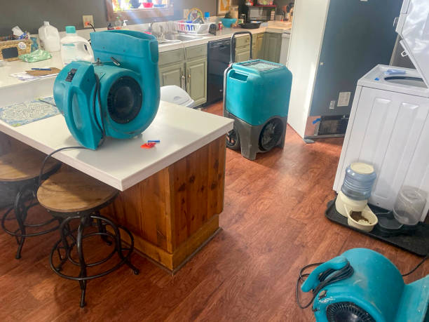 Best Local water damage restoration  in Guadalupe, CA