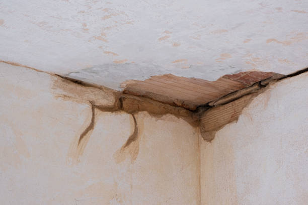 Best Professional water damage repair  in Guadalupe, CA