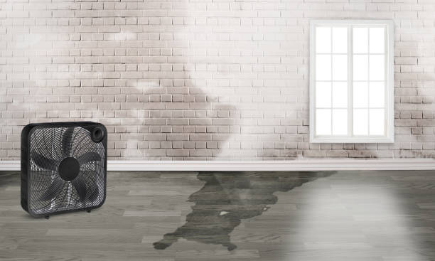 Best 24-hour water damage restoration  in Guadalupe, CA