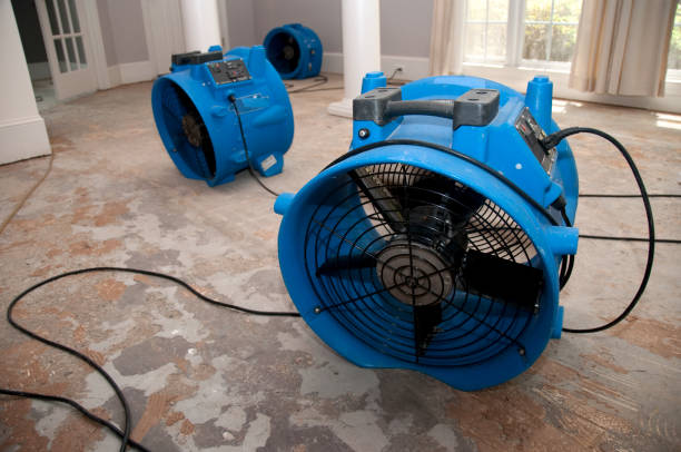 Best Emergency water damage restoration  in Guadalupe, CA
