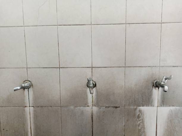  Guadalupe, CA Water damage restoration Pros