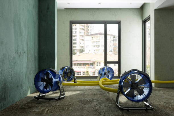 Best Flood restoration services  in Guadalupe, CA